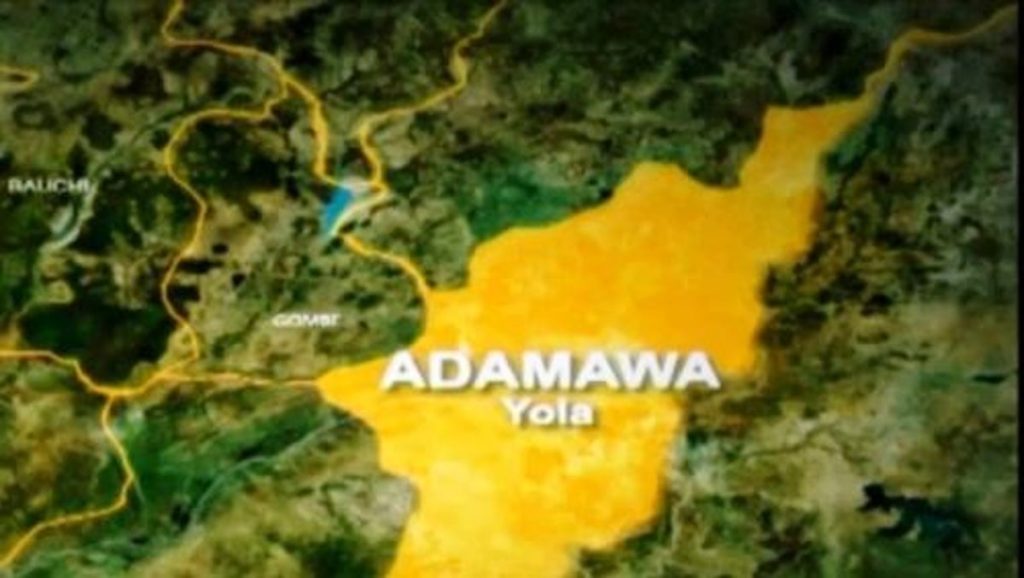 Adamawa Mandated Closure Schools Over Insecurity