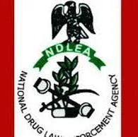 Suspected Drug Lord Nabs After 13 Years