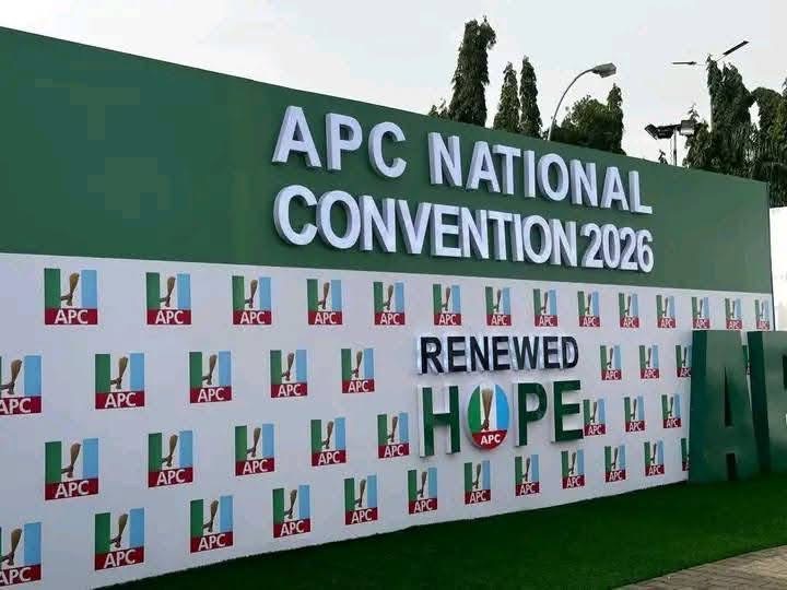 NASS Leaders Demand Automatic Tickets Serving Lawmakers at APC Convention