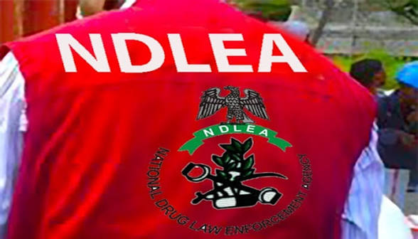 93 Years Old Medical Doctor Arrested by NDLEA For Cocaine Trafficking, Others
